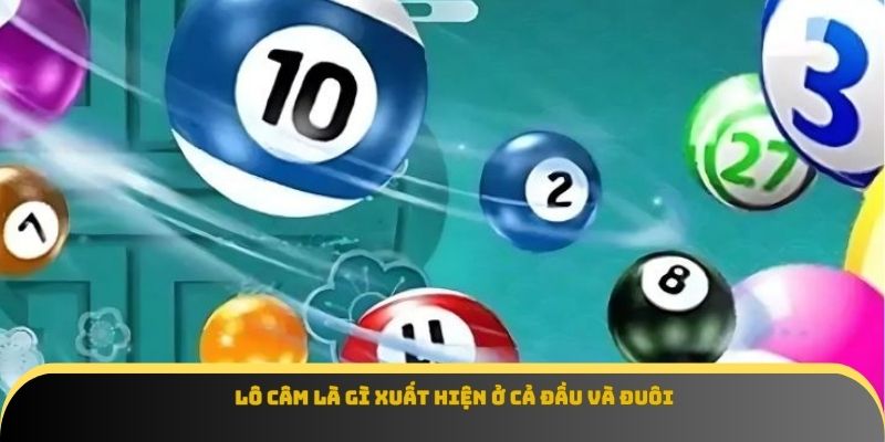 Lô câm là gì xuất hiện ở cả đầu và đuôi