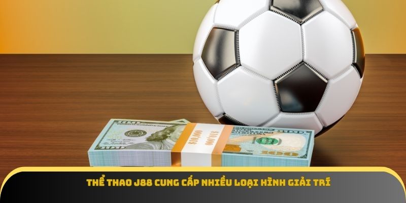 Thể thao J88 cung cấp nhiều loại hình giải trí